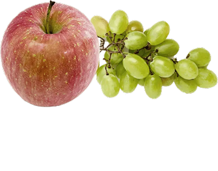 甘みたっぷりの果物の写真