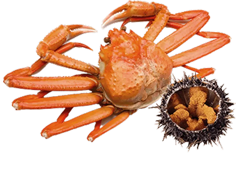 北海道産の厳選海鮮の写真