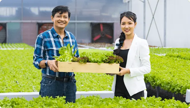 畑で育てた作物を手に、生産者の男女が笑顔で並ぶ改善・展開提案のイメージ