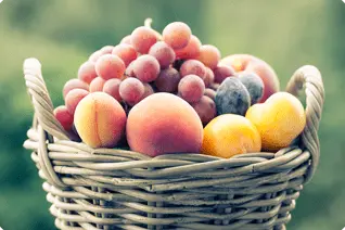 北海道余市産の桃やぶどう、りんごなど旬の果物を詰め合わせたフルーツバスケット