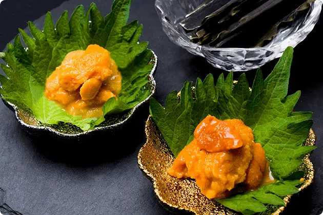 キタムラサキウニ