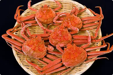 オオズワイガニ